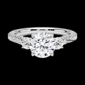 https://cdn.shopify.com/s/files/1/0571/2825/5601/files/1-Copy_1.png?v=1742206417