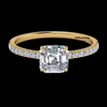 https://cdn.shopify.com/s/files/1/0571/2825/5601/files/2_024794b6-32e8-4b42-9eb0-52a4b72a375d.png?v=1743155253