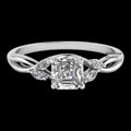 https://cdn.shopify.com/s/files/1/0571/2825/5601/files/51tO8Y8ScVL._AC_SY535.jpg?v=1742815836