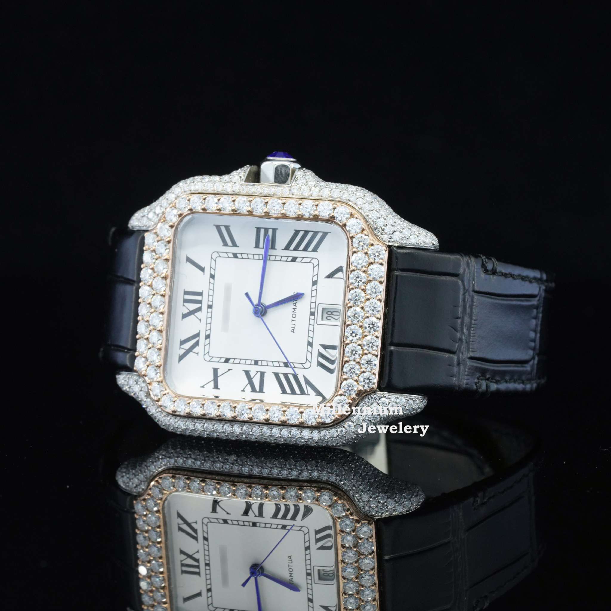 https://cdn.shopify.com/s/files/1/0571/2825/5601/files/DSC00679.jpg?v=1740720841