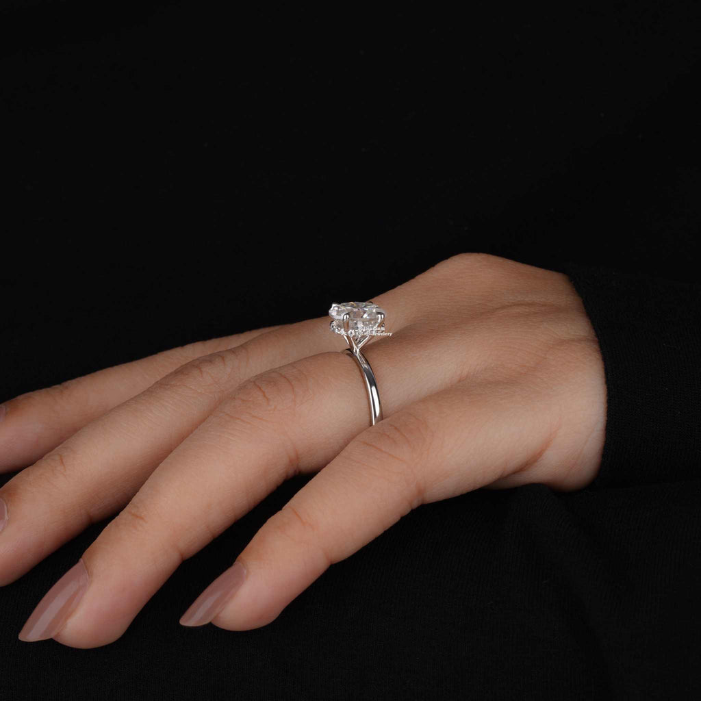 https://cdn.shopify.com/s/files/1/0571/2825/5601/files/DSC01728.jpg?v=1737454009