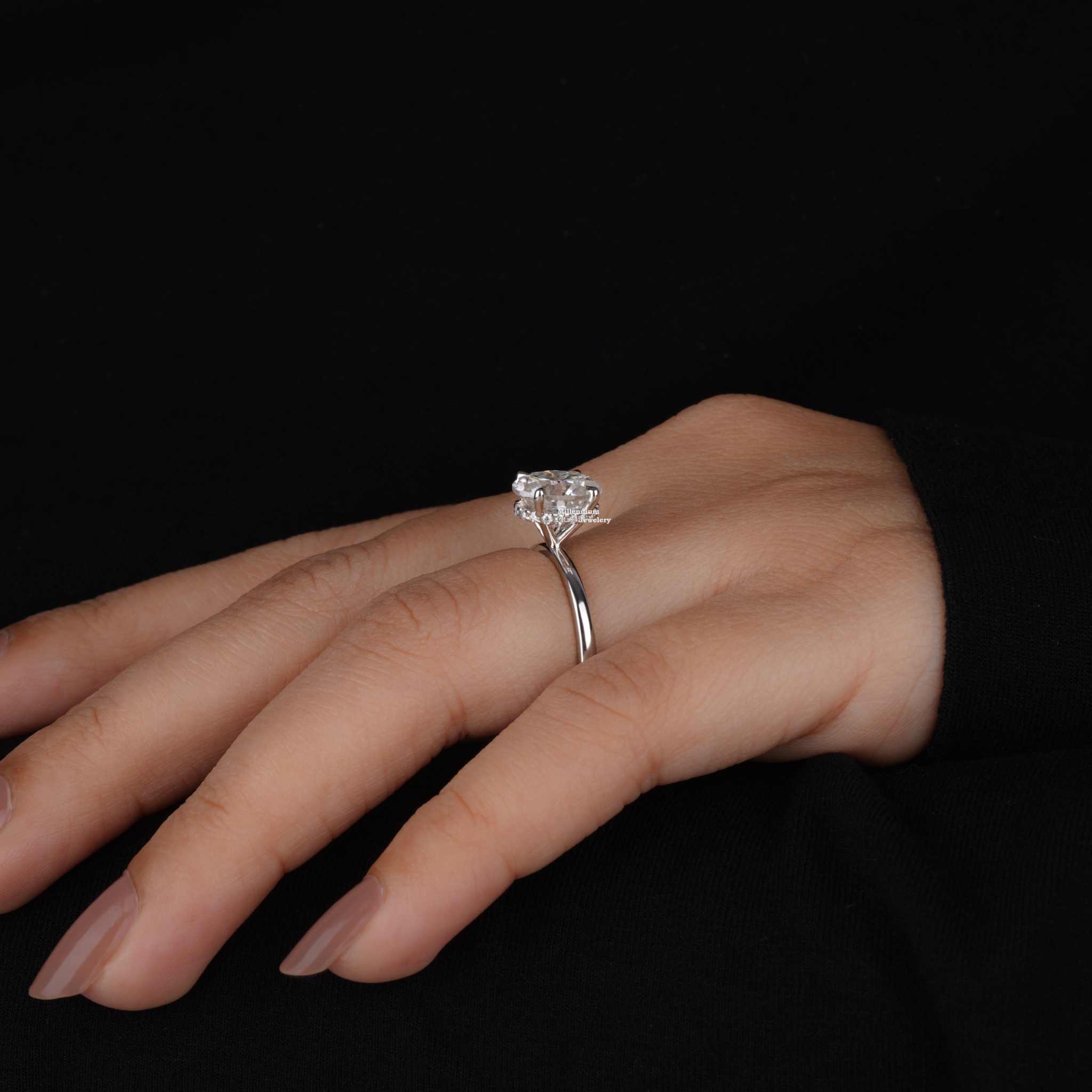 https://cdn.shopify.com/s/files/1/0571/2825/5601/files/DSC01728.jpg?v=1737454009