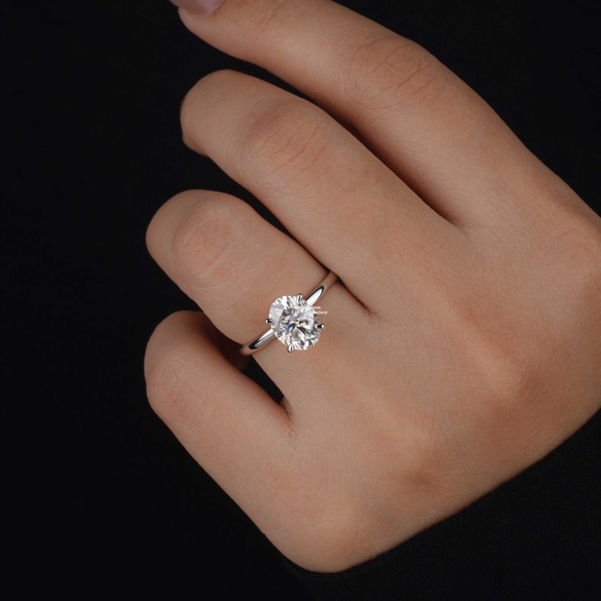 https://cdn.shopify.com/s/files/1/0571/2825/5601/files/DSC01730.jpg?v=1737454004