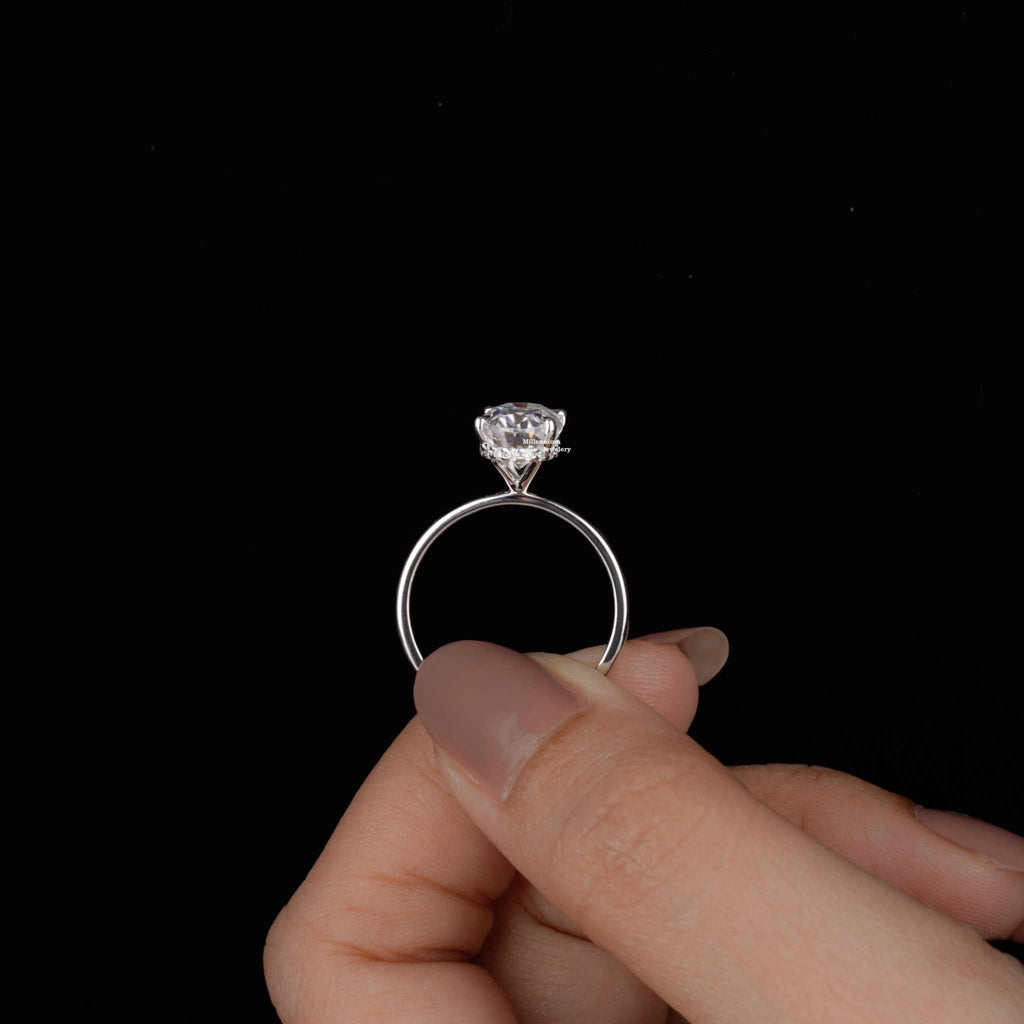 https://cdn.shopify.com/s/files/1/0571/2825/5601/files/DSC01733.jpg?v=1737454015