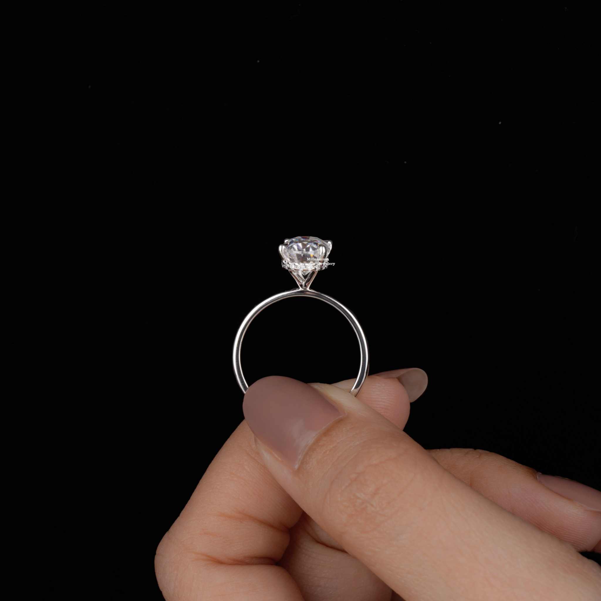 https://cdn.shopify.com/s/files/1/0571/2825/5601/files/DSC01733.jpg?v=1737454015