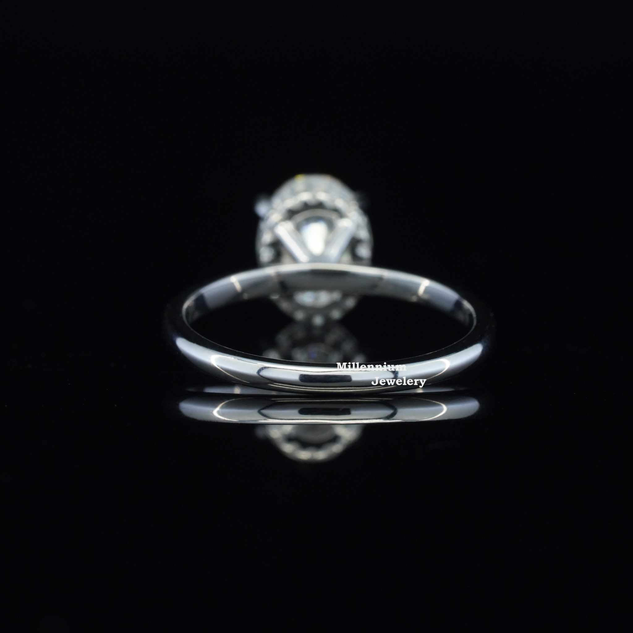https://cdn.shopify.com/s/files/1/0571/2825/5601/files/DSC01743.jpg?v=1737454013
