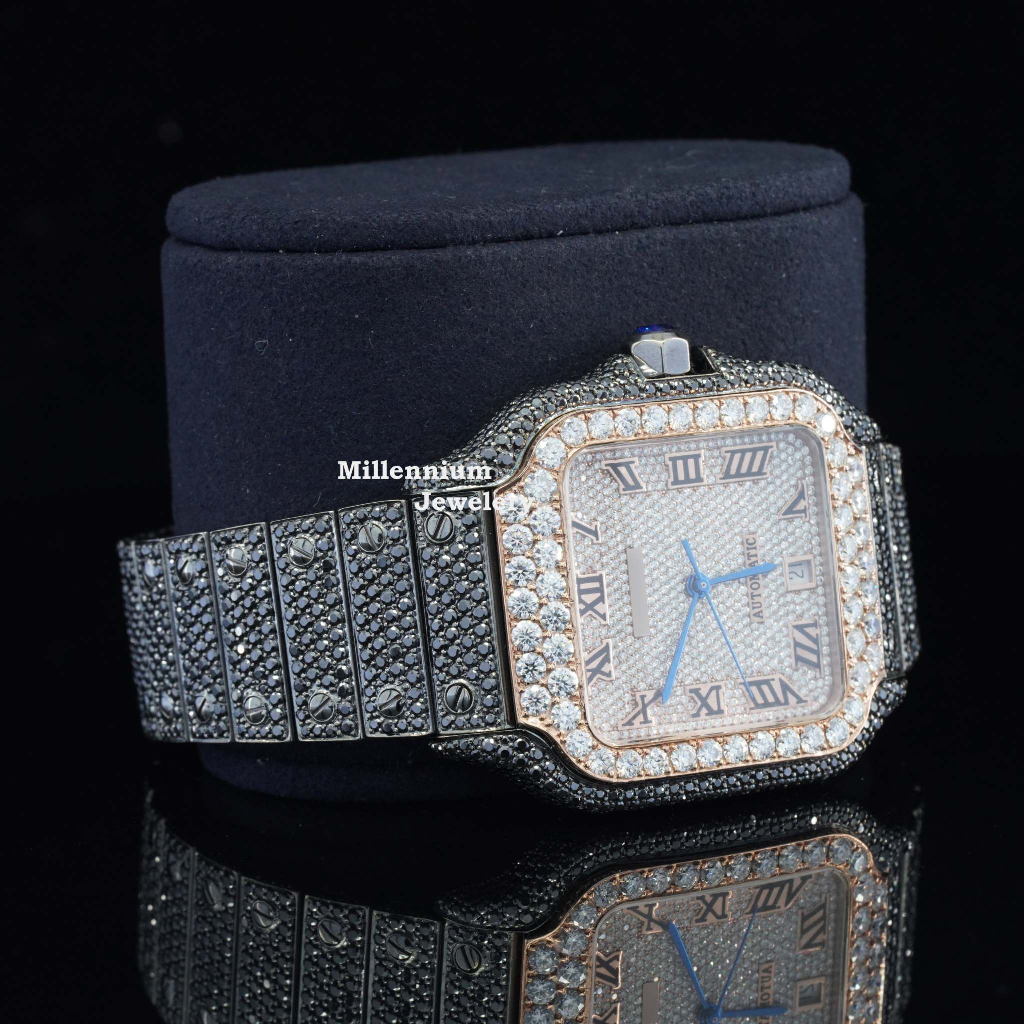 https://cdn.shopify.com/s/files/1/0571/2825/5601/files/DSC03759.jpg?v=1735715755