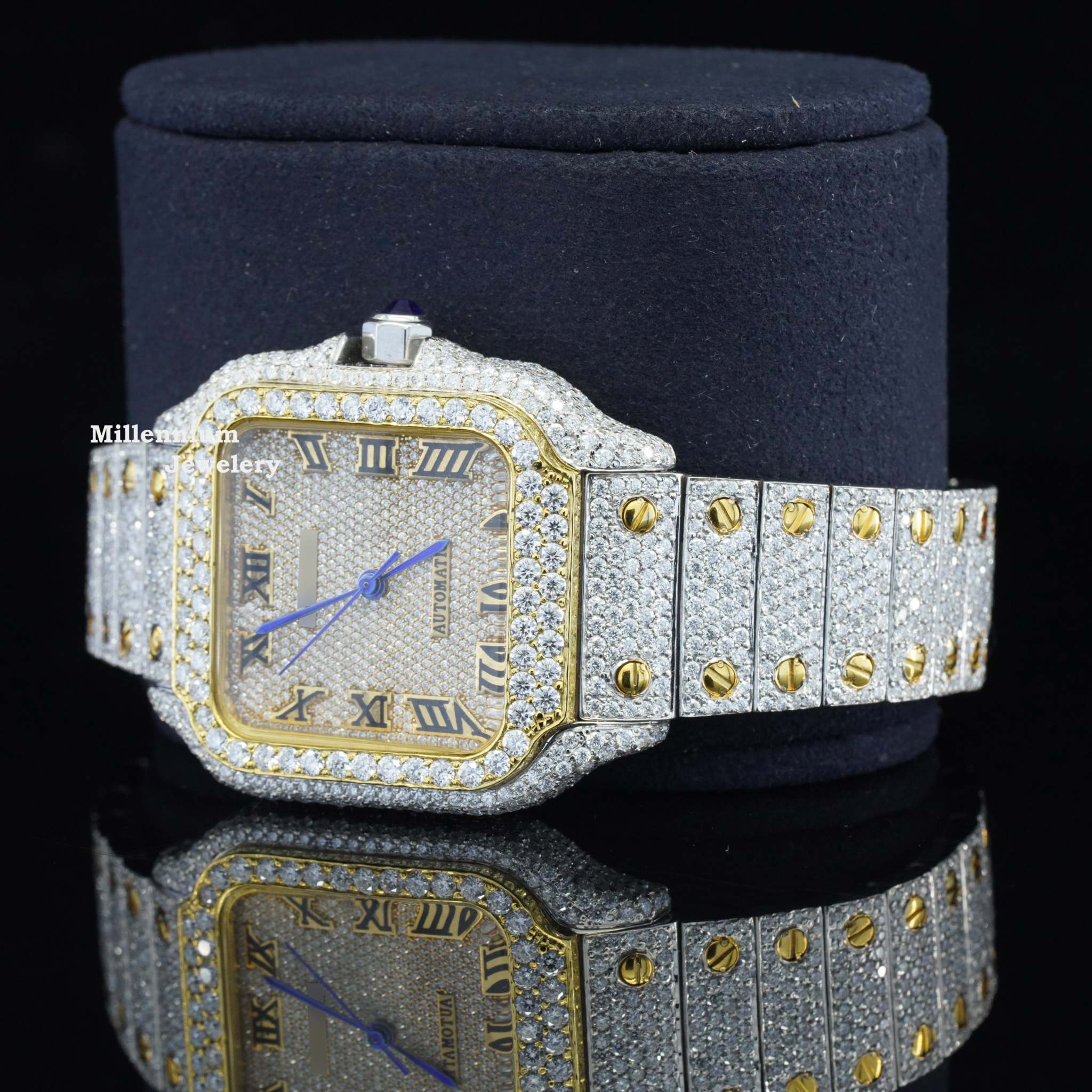 https://cdn.shopify.com/s/files/1/0571/2825/5601/files/DSC06903.jpg?v=1735031744