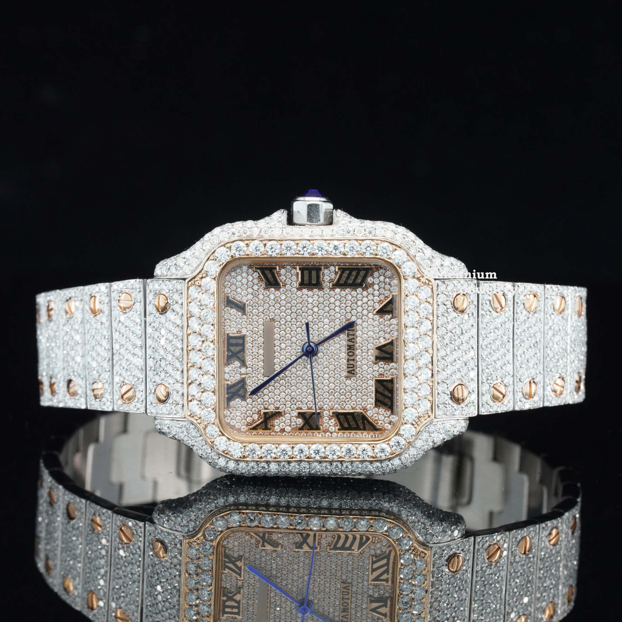 https://cdn.shopify.com/s/files/1/0571/2825/5601/files/R_DSC06898_copy_4f1eb364-70c7-46d8-a430-543206e72e22.jpg?v=1735031745