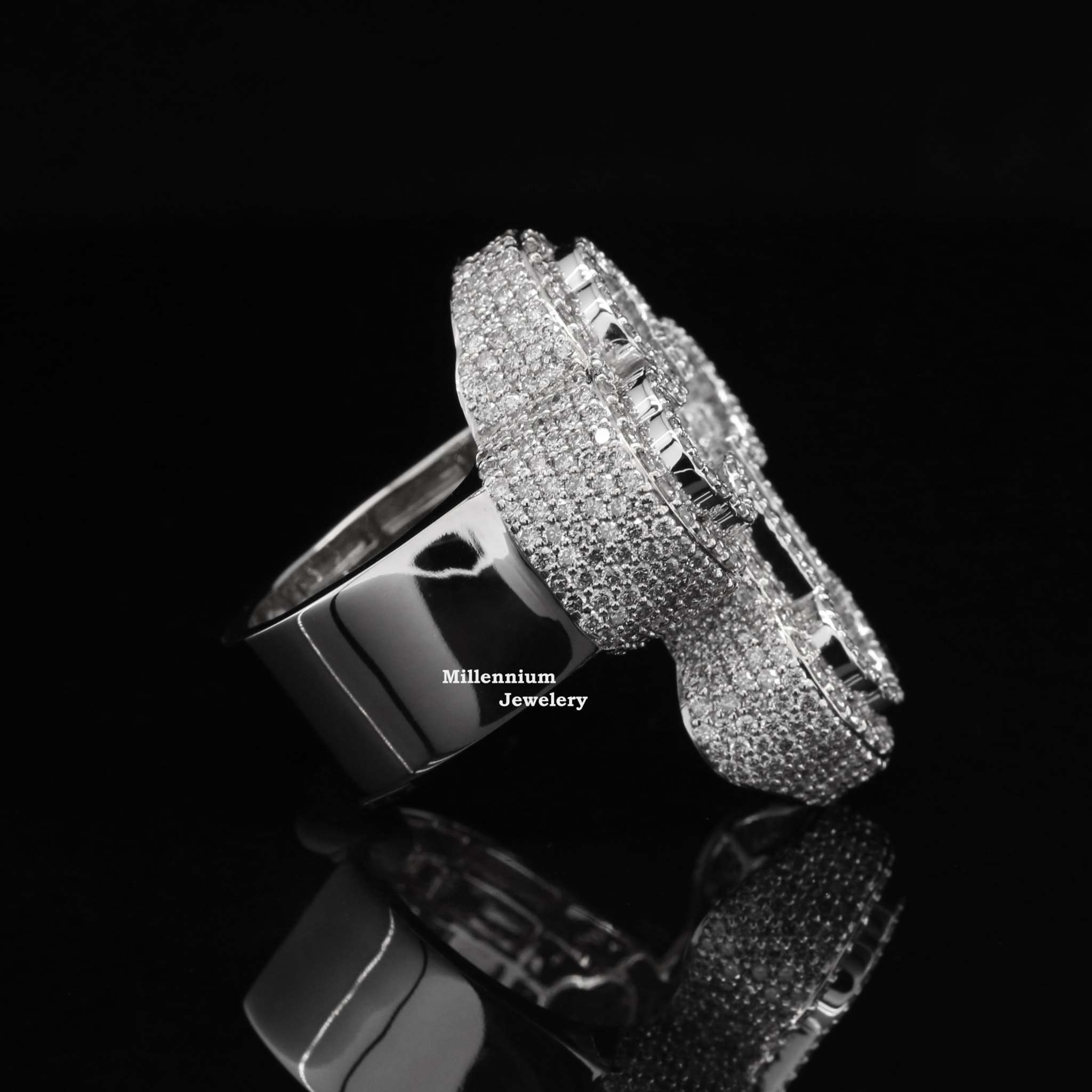 https://cdn.shopify.com/s/files/1/0571/2825/5601/files/WIMG_6160copy.jpg?v=1722595416